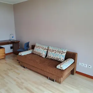 Forsycja , Gdańsk Polska